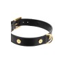 leather collar with medusa studs - large