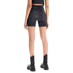 animal print sports shorts