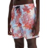 baroque bermuda shorts