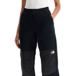 retro denali fleece sports pants.