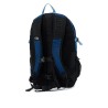 borealis classic backpack