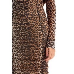 'animal print midi dress in mesh