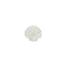 "single seashell earring with