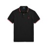 Embroidered polo shirt