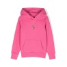 Big pony fleece hoodie (2-6x)