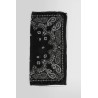 paisley scarf