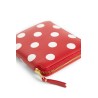 polkadot wallet