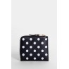 polkadot wallet