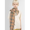 check cachemire fringed scarf