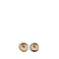 vlogo earrings