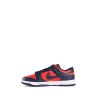 dunk low retro sneakers