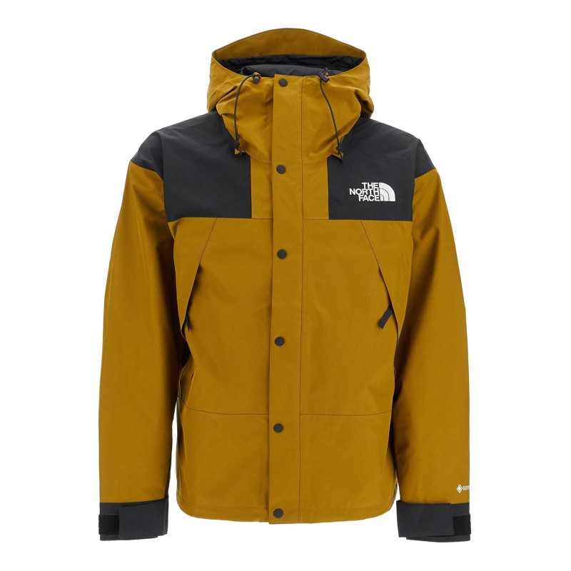 mountain gore-tex jacket