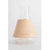 erlenmeyer flask 100ml