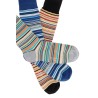 signature stripe socks