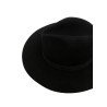 Wool fedora hat