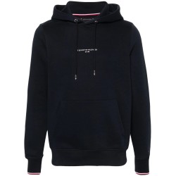 Tommy logo tipped hoody