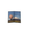 signature stripe balloon wallet