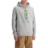 polo bear hooded sweatshirt