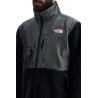 retro denali fleece sports jacket.