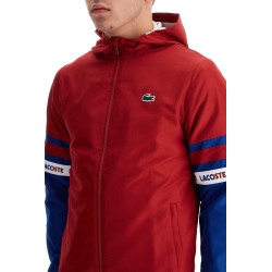 sporty jacket with contrasting sleeves