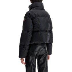 short cecy down jacket