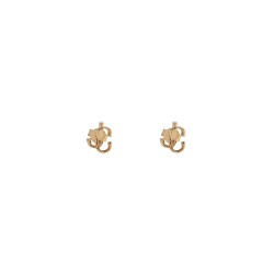 jc earrings