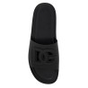 dg rubber slides