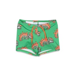 swim bottom boxer