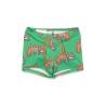 swim bottom boxer