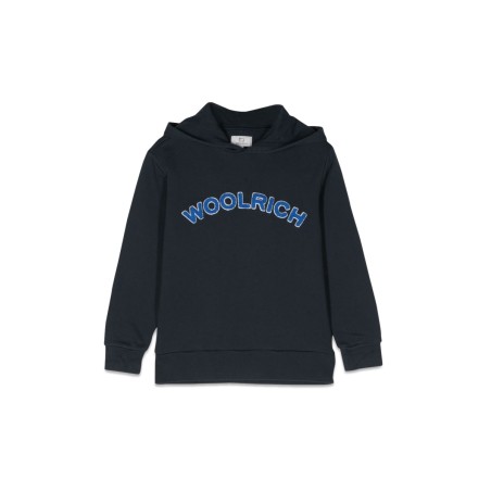 varsity logo hoodie