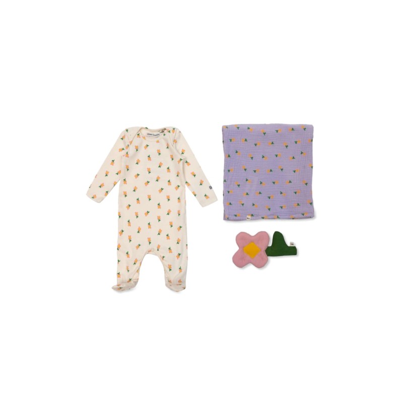 baby pansy flower gift set