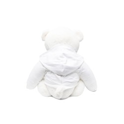 teddy bear with plush