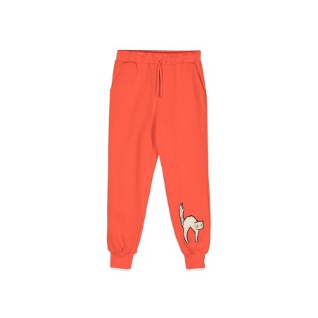 angry cat application sweatpants