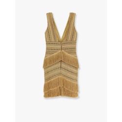 Pampas mini dress with embroidery and fringes
