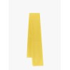Rivera silk chiffon stole
