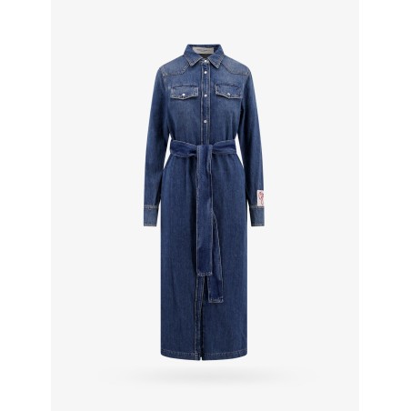 Dana denim chemisier dress