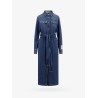 Dana denim chemisier dress