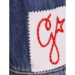 Dana denim chemisier dress