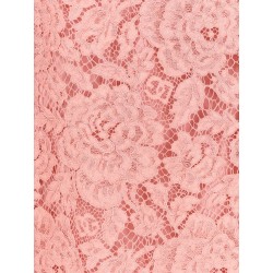 A line dg floral lace dress