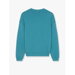 Cotton sweatshirt with iconic embroidered logo on the front