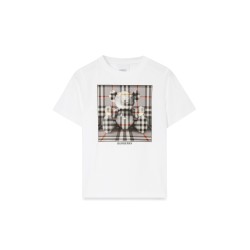 cedar box bear t-shirt