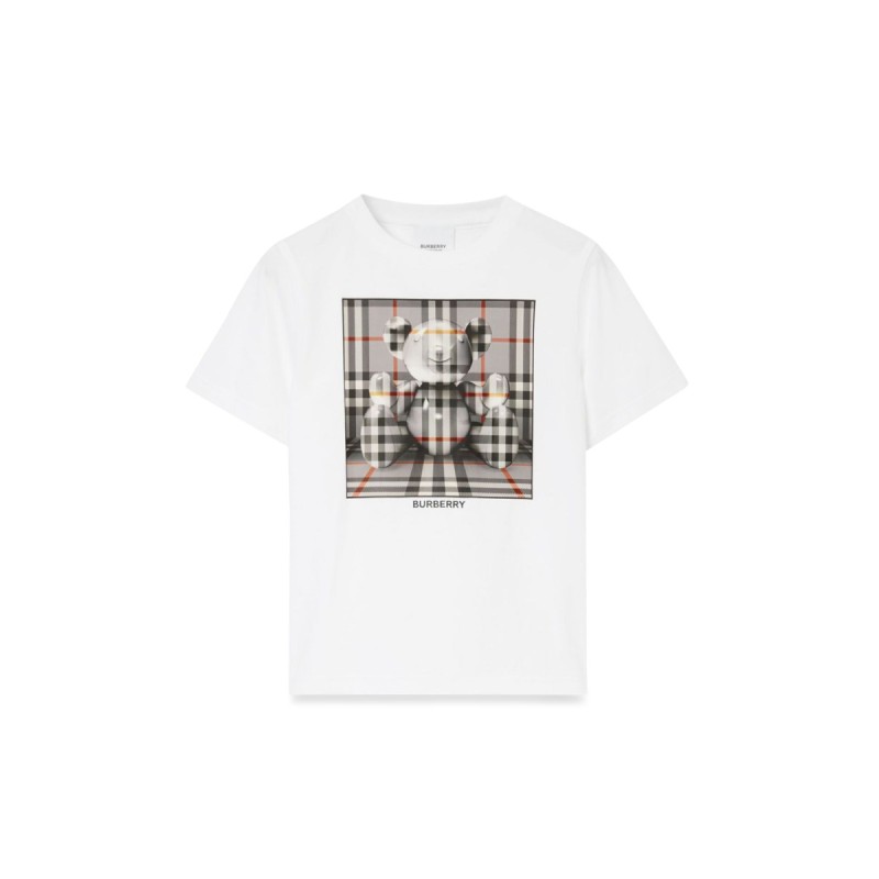 cedar box bear t-shirt