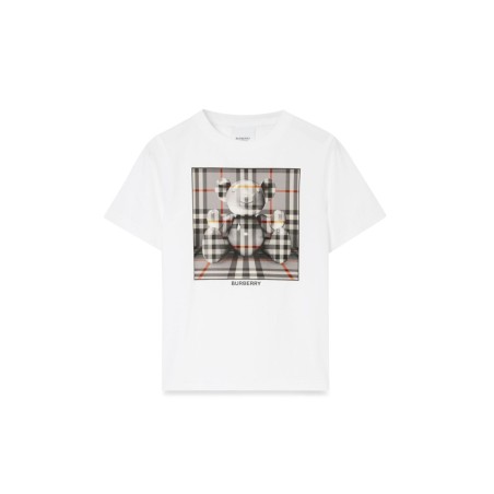 cedar box bear t-shirt