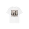 cedar box bear t-shirt