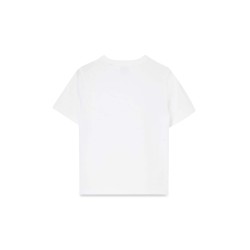 cedar box bear t-shirt