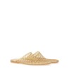 SABOT IN MESH