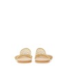 SABOT IN MESH