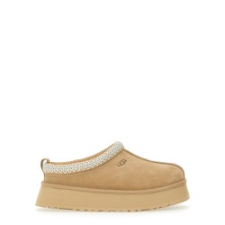 SABOT "TAZZ"