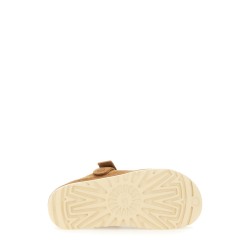 GOLDENSTAR SABOT