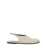 MULE "PALEY"
